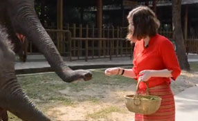 勐巴拉娜西！&ldquo;洋記者&rdquo;帶你游西雙版納