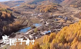 探秘關(guān)東人家，畫一個(gè)童話里的秋天