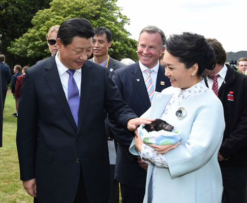 11月18日，國家主席習(xí)近平在澳大利亞塔斯馬尼亞州與朗塞斯頓市斯科奇－歐克伯恩小學(xué)的小學(xué)生共同植樹。這是習(xí)近平和夫人彭麗媛植樹后撫摸袋獾。新華社記者 馬占成 攝