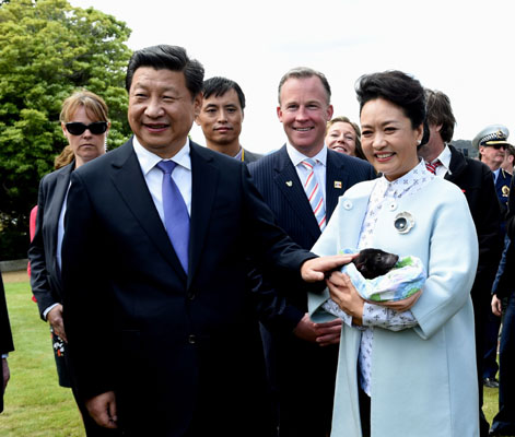 11月18日，國家主席習(xí)近平在澳大利亞塔斯馬尼亞州與朗塞斯頓市斯科奇－歐克伯恩小學(xué)的小學(xué)生共同植樹。這是習(xí)近平和夫人彭麗媛植樹后撫摸袋獾。新華社記者 饒愛民 攝