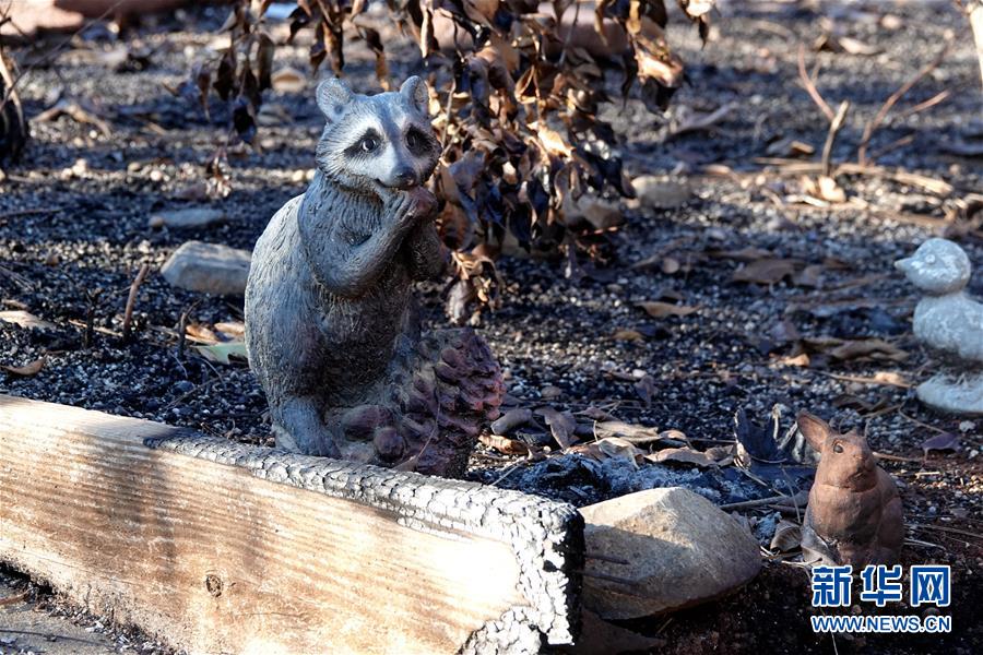 （國際&middot;圖文互動）（4）一場山火，讓這個冬天格外冷&mdash;&mdash;探訪美國加州山火災區(qū)