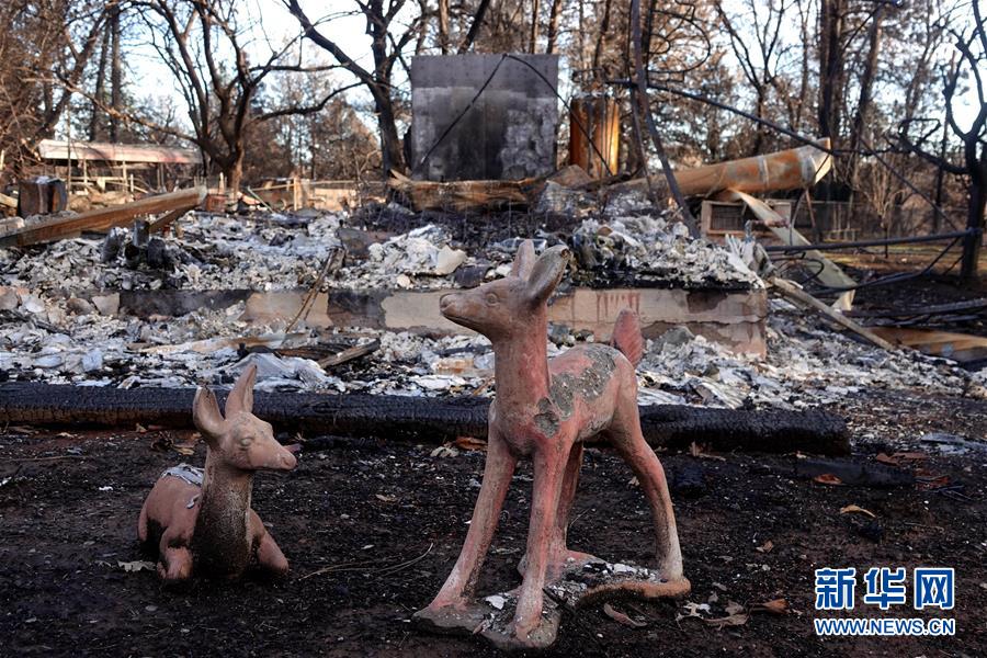 （國際&middot;圖文互動）（6）一場山火，讓這個冬天格外冷&mdash;&mdash;探訪美國加州山火災區(qū)