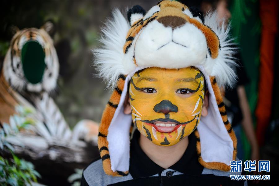 (國(guó)際)(3)馬來(lái)西亞將加強(qiáng)打擊偷獵馬來(lái)虎行為