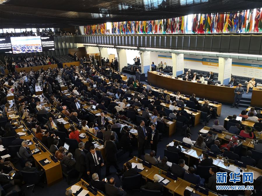 (國際)中國農(nóng)業(yè)農(nóng)村部副部長屈冬玉當選聯(lián)合國糧農(nóng)組織總干事