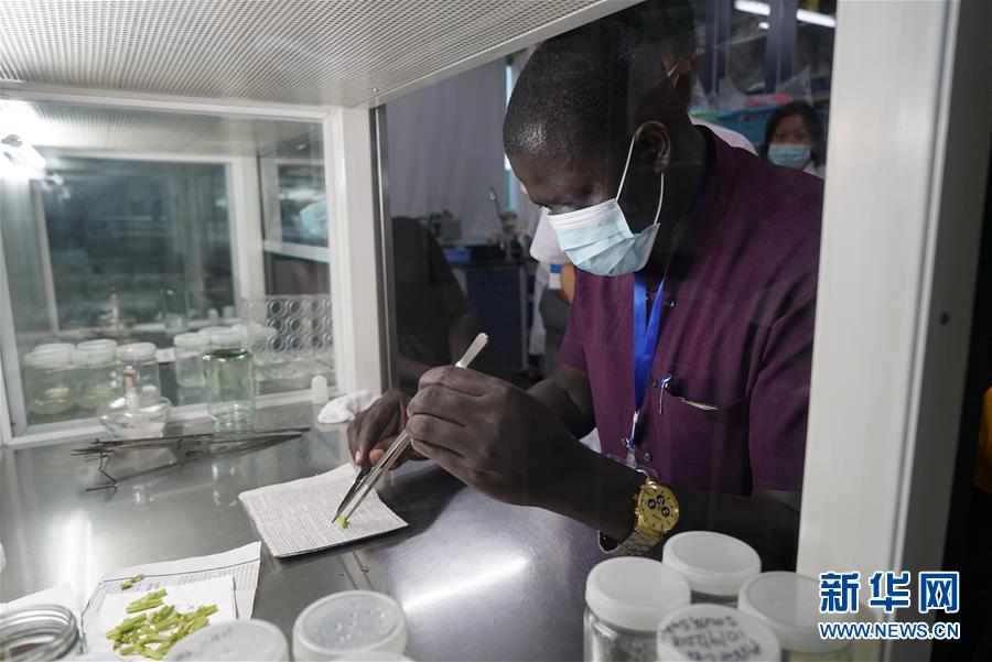 (在習近平新時代中國特色社會主義思想指引下——新時代新作為新篇章·總書記關(guān)切開放事·圖文互動)(8)來中國“學(xué)種地”的“洋學(xué)生”