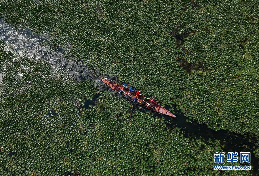 （國際&middot;年終報(bào)道）（8）2019，精&ldquo;彩&rdquo;紛呈