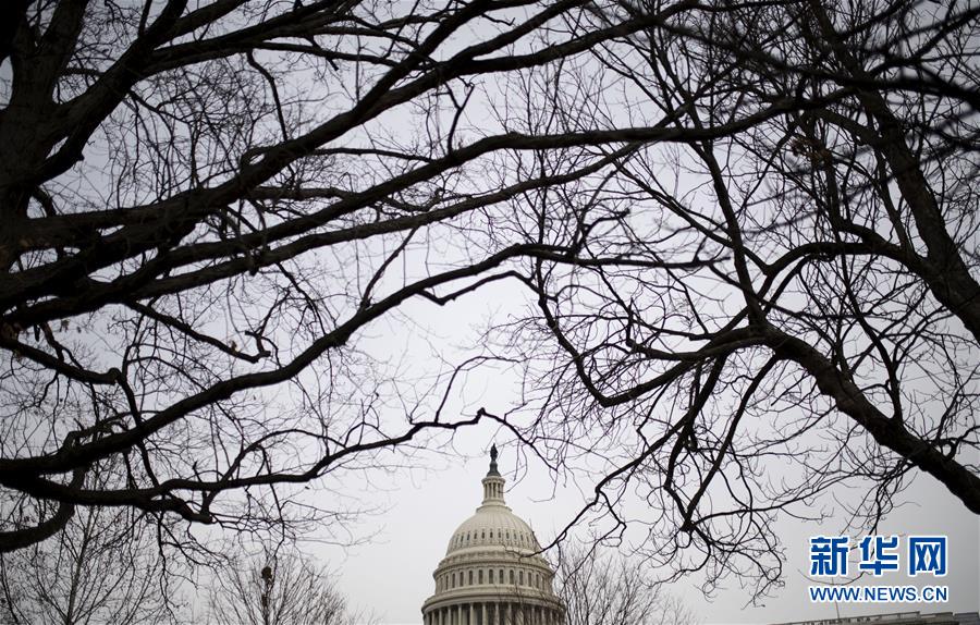 (國際)(3)美國會參議院否決特朗普彈劾案審理階段取證動議