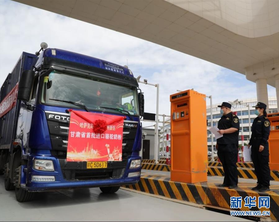 （國(guó)際&middot;圖文互動(dòng)）（7）從&ldquo;先遣隊(duì)&rdquo;到&ldquo;正規(guī)軍&rdquo;&mdash;&mdash;哈薩克斯坦駱駝奶粉入華記