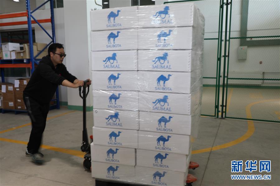 （國(guó)際&middot;圖文互動(dòng)）（8）從&ldquo;先遣隊(duì)&rdquo;到&ldquo;正規(guī)軍&rdquo;&mdash;&mdash;哈薩克斯坦駱駝奶粉入華記