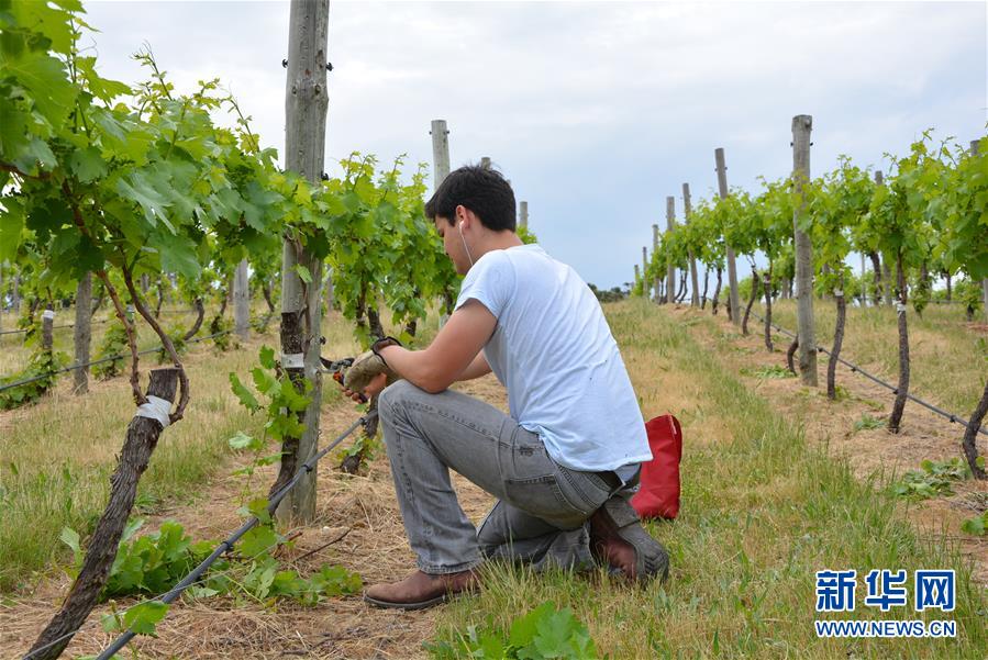 （第三屆進(jìn)博會(huì)&middot;圖文互動(dòng)）（7）專(zhuān)訪(fǎng)：進(jìn)博會(huì)是了解中國(guó)市場(chǎng)的好機(jī)會(huì)&mdash;&mdash;訪(fǎng)澳大利亞諾瓦維塔葡萄酒集團(tuán)創(chuàng)始人卡臣