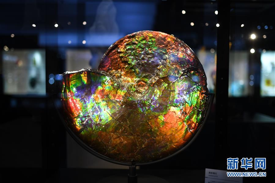 （第三屆進(jìn)博會&middot;新華視界）（1）觀展體驗：多彩&middot;絢爛&middot;未來感