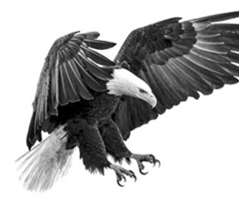 誰(shuí)是世界秩序的真正破壞者？