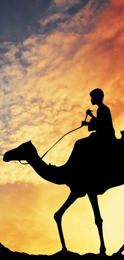 鐘四遠(yuǎn)：絲綢之路中亞拾遺