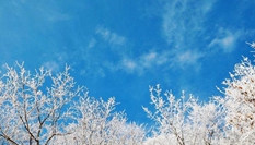 湖北?？蹈呱届F凇美如畫