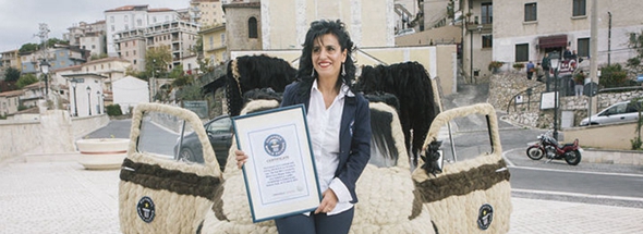 意造型師為愛(ài)車做&ldquo;發(fā)型&rdquo; 耗100公斤頭發(fā)獲吉尼斯世界紀(jì)錄稱號(hào)