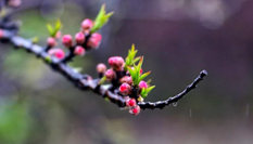 隨心而行，走走停停始終精彩。