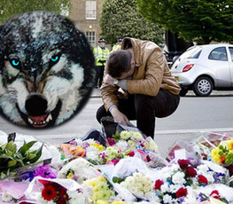 血案頻發(fā) "獨狼"緣何兇猛？