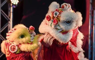 新西蘭國(guó)博舉辦&ldquo;中國(guó)舞臺(tái)日&rdquo;